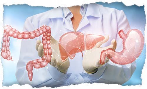 Gastroshiza: Modern Approach to Digestive Health