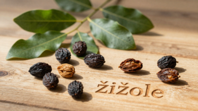 žižole