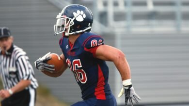 players infoguide dmgconselistas